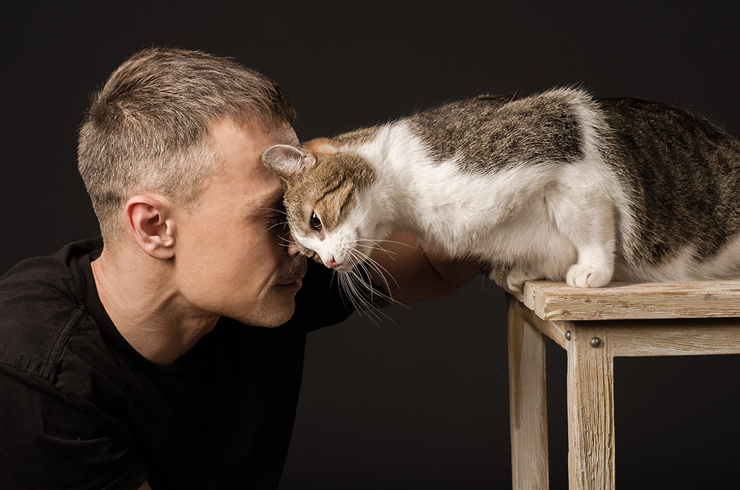 Communication animale