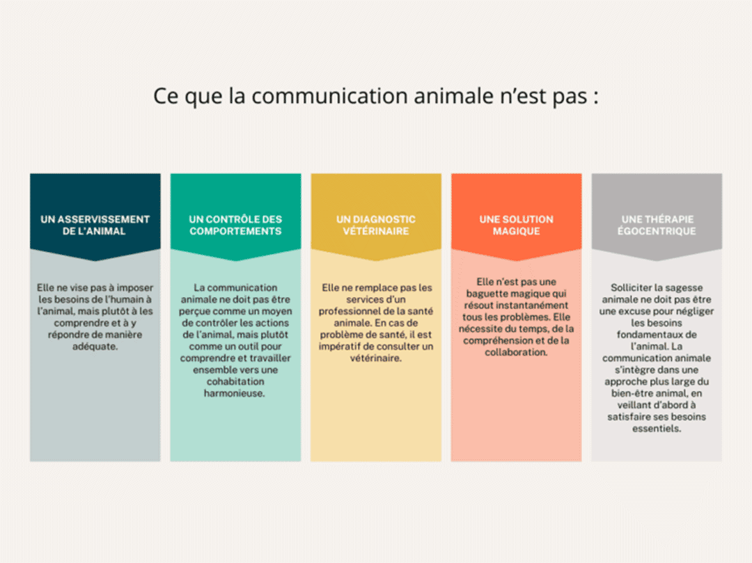 Ce que n'est pas la communication animale - Cœur en harmonie