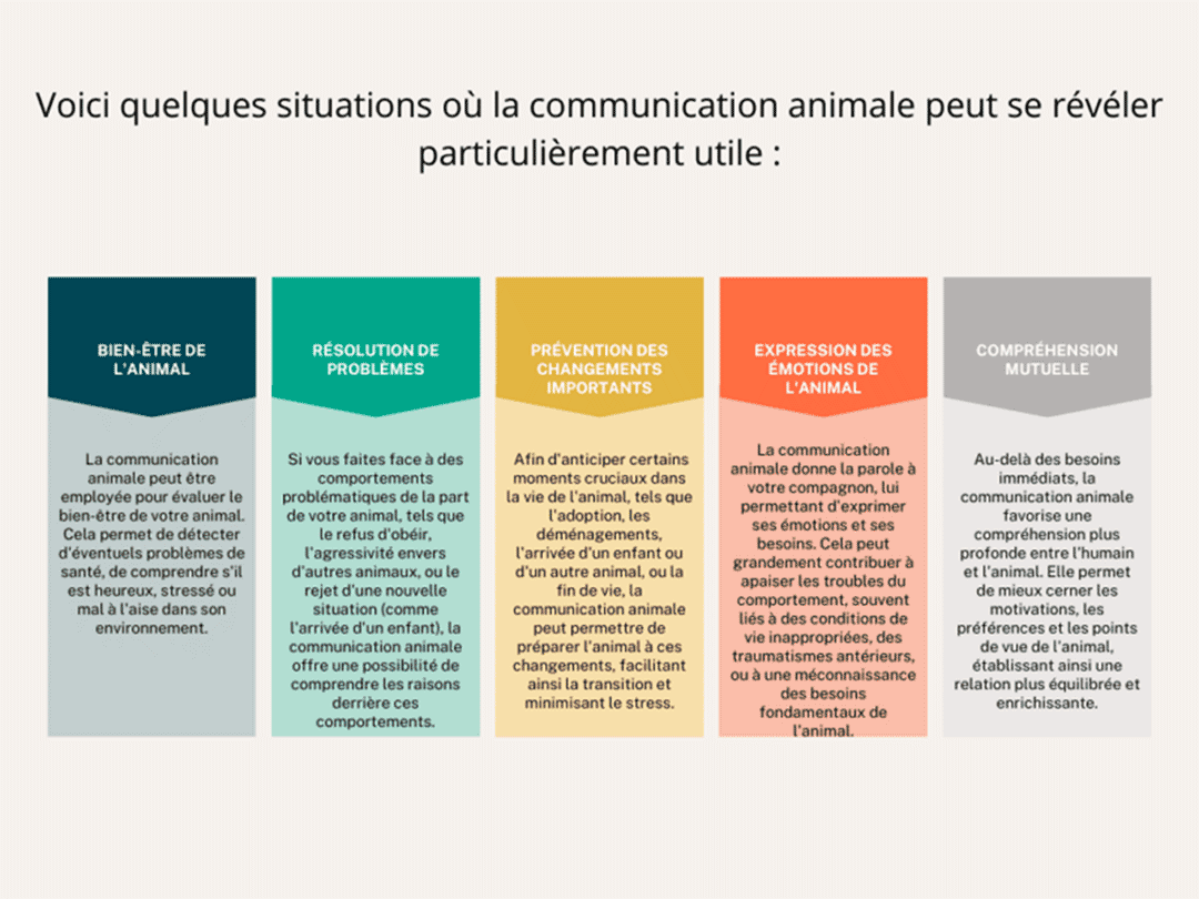 Communication animale - Cœur en harmonie